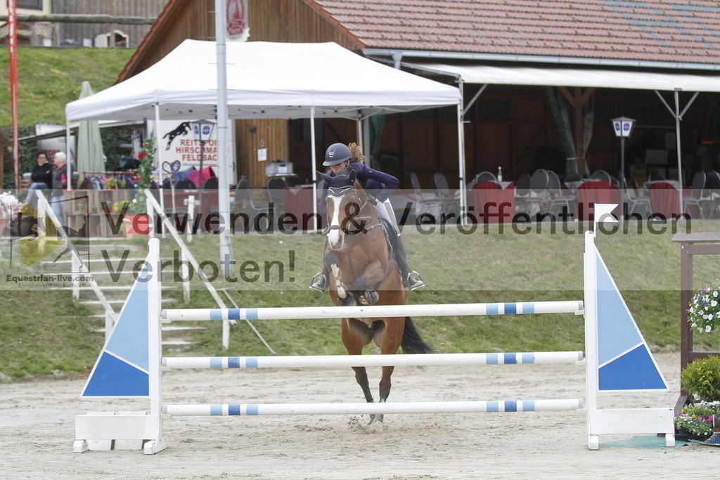 _MG_2775 | equestrian-live-com