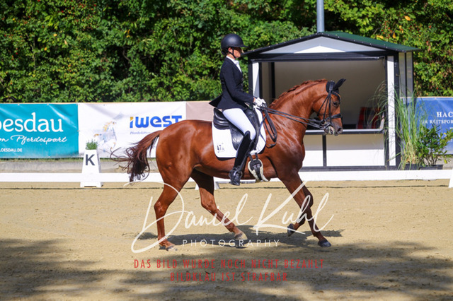 DKP40825 | Turniersportfotografie; Pferdefotografie; Dressurfotografie