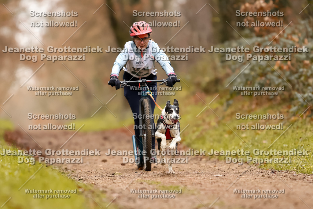 Dog Paparazzi - Speedhunter Mannheim  2025-427 | Dog Paparazzi Jeanette Grottendiek Fotografie & Videografie