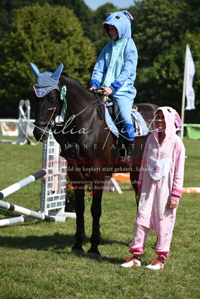 DSC_0471 | Pferde- und Turnierfotografie in Westsachsen. Pferdeportraits, Auftragszeichnungen und intuitive Kunst.