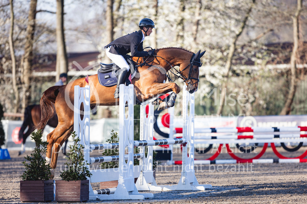 250408_Mühlen_SprPf-A1-139 | Deine schönsten Turniermomente als professionelle Fotos! Entdecke hochwertige Pferdesport-Fotografie im Online-Shop. Jetzt Fotos finden & bestellen!