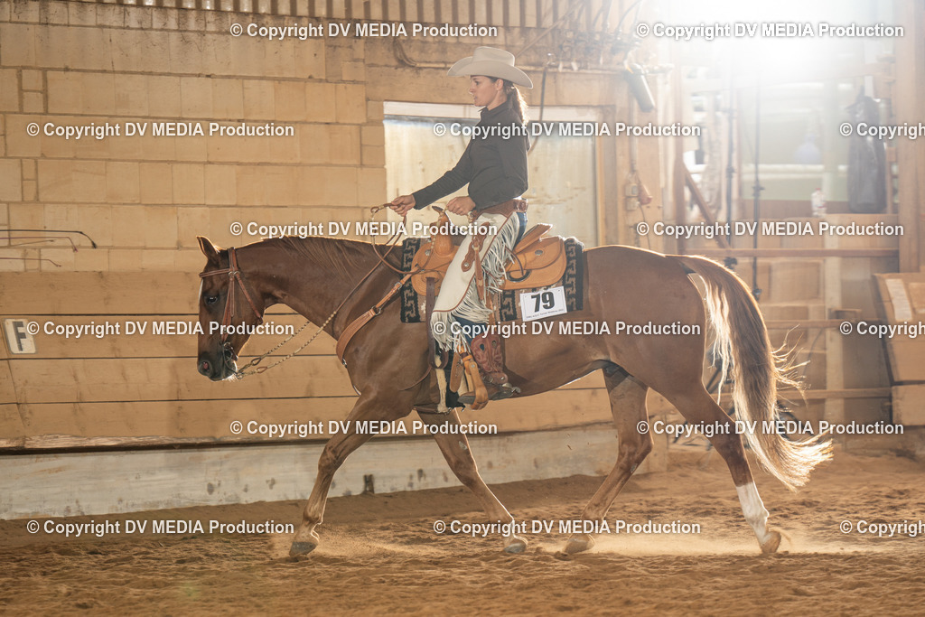 NID01624 | dv-media-shop - Realisiert mit Pictrs.com