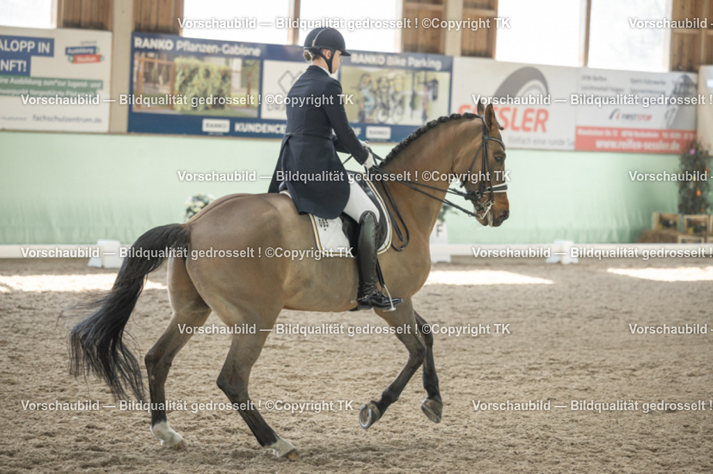 _D5A2325 | Emotionale Pferde- & People-Fotografie rund um Heidelberg, Leimen & Umgebung. Natürliche Fotos von Pferd, Mensch & Familie. Jetzt Termin sichern!