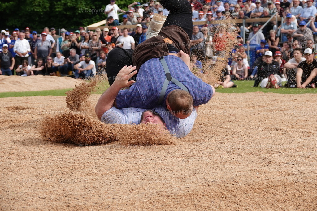 DSC04214 | Schwingen - Realisiert mit Pictrs.com