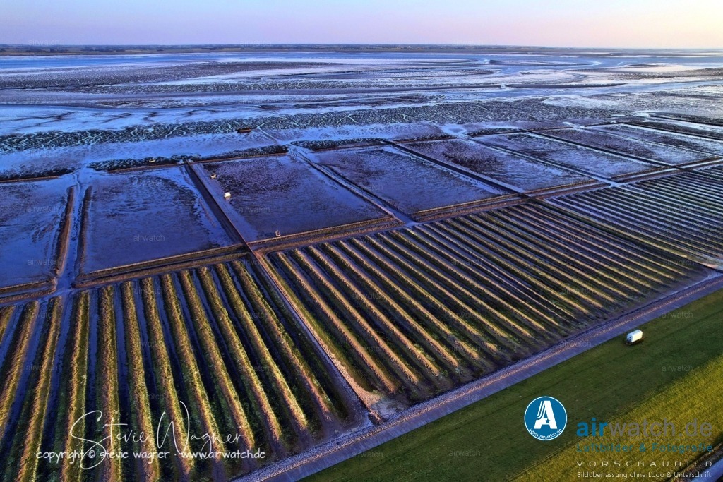 Luftbild Nordstrand, LangerDeich, Dreisprung, An de Wehl, Evensbüller Chaussee, Husumer Bucht | Luftbild Nordstrand, LangerDeich, Dreisprung, An de Wehl, Evensbüller Chaussee, Husumer Bucht - Die heutige Halbinsel Nordstrand entstand nach der verheerenden Burchardi-Flut von 1634, bei der das mittelalterliche Eiderstedt-Inselreich zerbrach. Danach begann eine systematische Neuanlage von Deichen und die landwirtschaftliche Nutzung der gewonnenen Marschböden. Diese künstliche Landgewinnung prägt bis heute das Landschaftsbild.