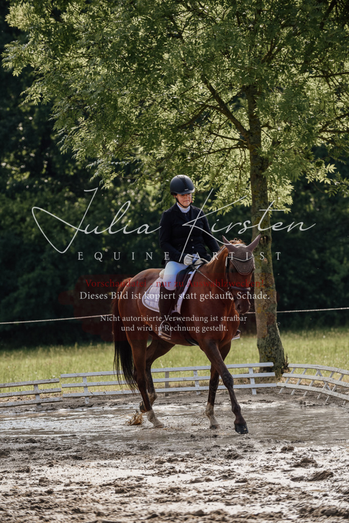 DSC_9221 | Pferde- und Turnierfotografie in Westsachsen. Pferdeportraits, Auftragszeichnungen und intuitive Kunst.