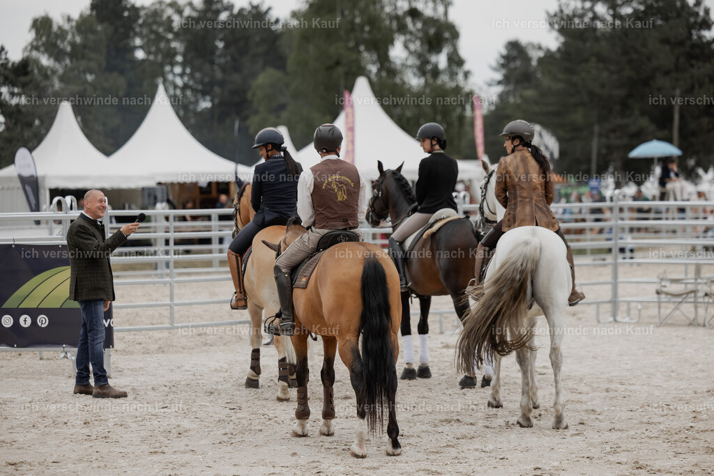 WE__Stoib_Rinder_PI2025_3070 | Pferd International München 2025