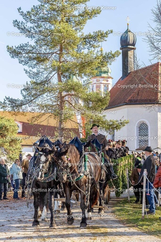 LBT25-1348 | foto-bettina-krinner - Realisiert mit Pictrs.com