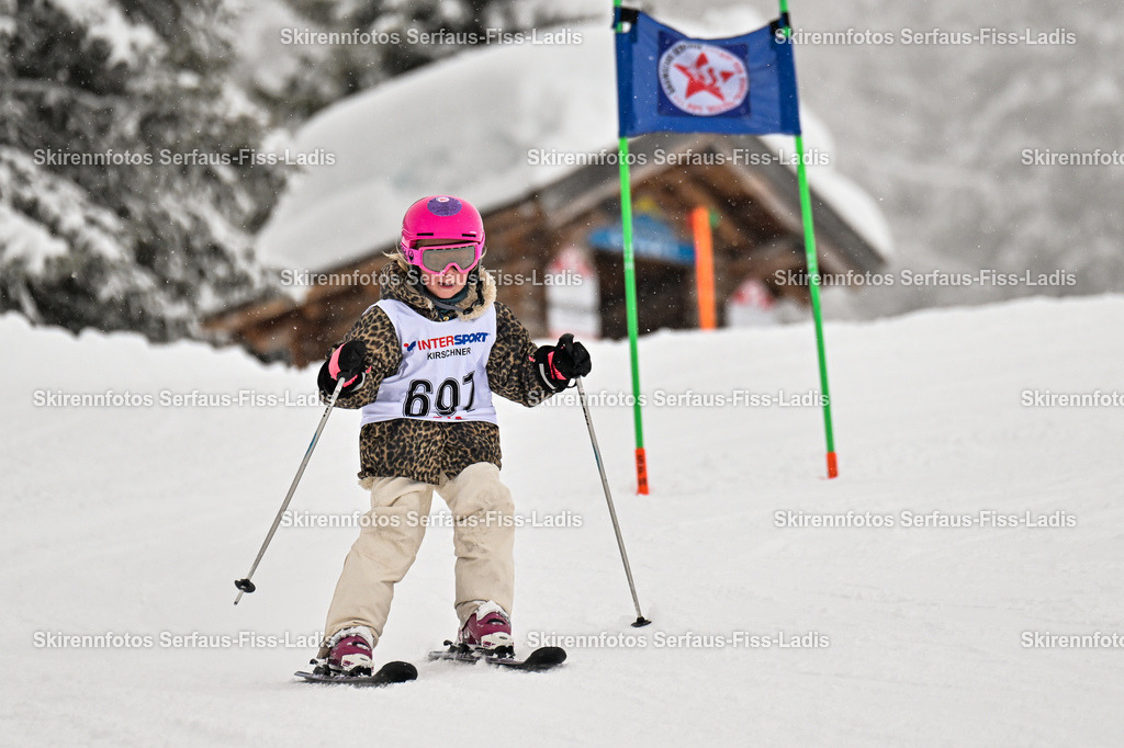 SRS_20.02.2026_0613 | SRS_20.02.2026_0613 - Realisiert mit Pictrs.com