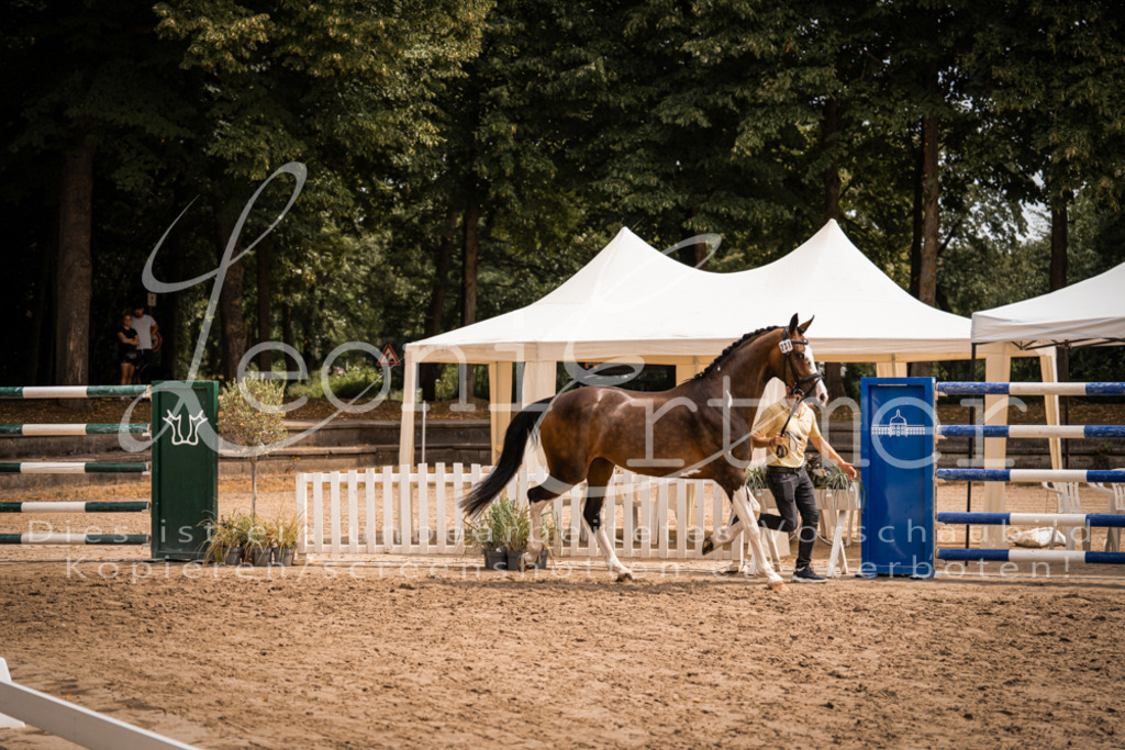 3.Fr00178 | Leoni Ertmer Photography - Realisiert mit Pictrs.com