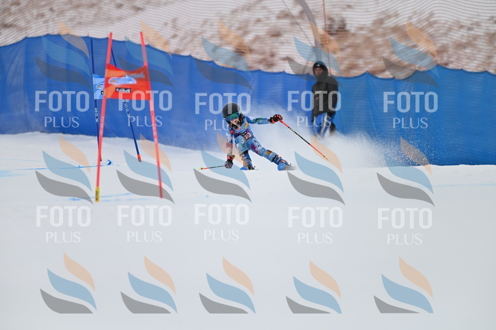 BGV_0650 | holidayphoto