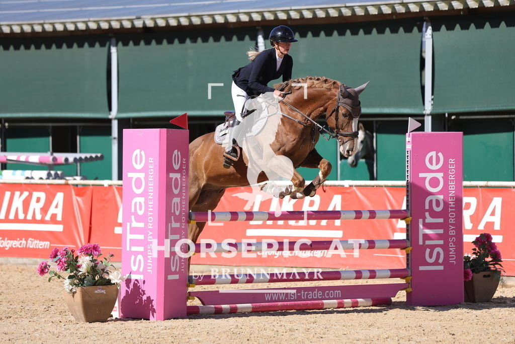 0P6A0343 | Willkommen bei Brunnmayr - Design & Fotografie – Ihrem Spezialisten für Reitturniere und Pferdeveranstaltungen in Oberösterreich, Salzburg und Bayern! Seit über 17 Jahren sind wir leidenschaftlich dabei.