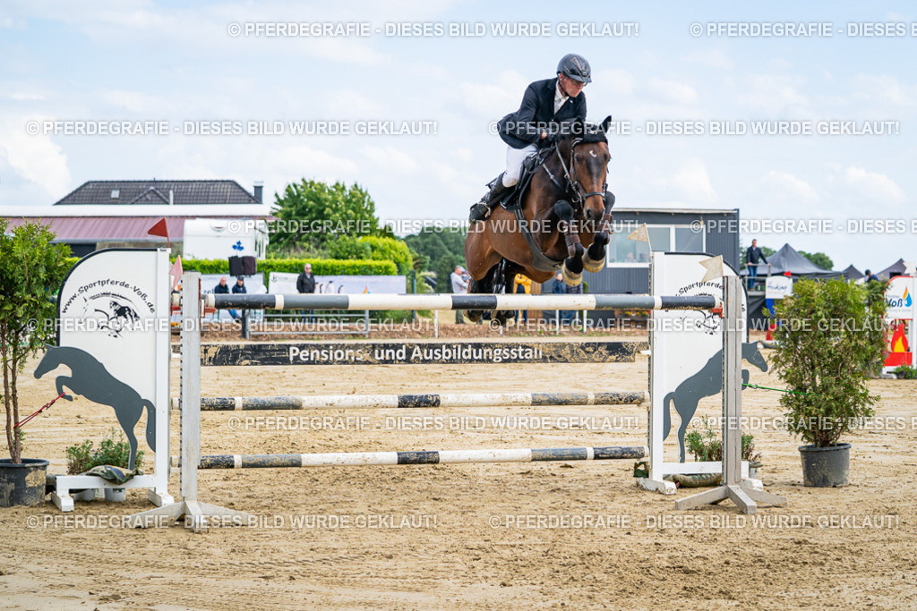 DSC07051 | Pferdegrafie