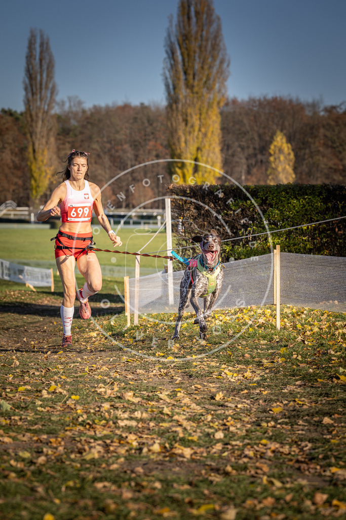 CaniXpix_DV3A1475 | Hundefotografie, Tierfotograf, Pfotenfotografie, Fotoshooting Hund, Hunde Portrait, Hundesport, Hundeportraits, Heideshooting, Hunde, Sportfotograf, Hundefotograf, Turnierhundsport, THS,  - Realisiert mit Pictrs.com