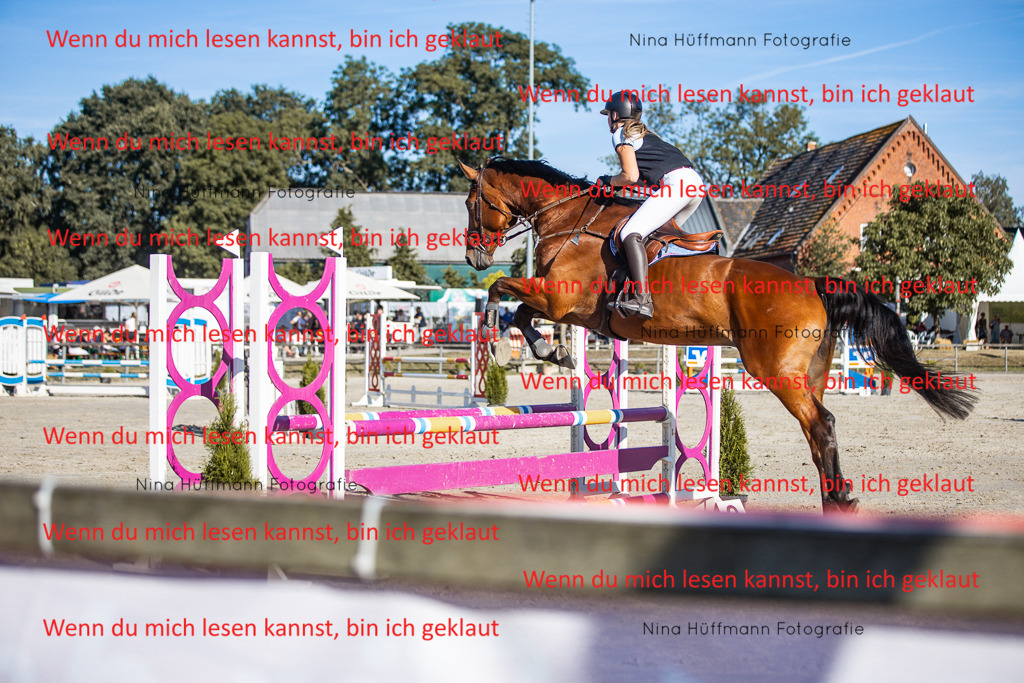 BK1A7604 | Turnierbilder Turnierfotos Nina Hüffmann Turnierfotografie Pferdefotografie Tierzeichnung Haustierzeichnung Pferdezeichnung Hundezeichnung Videograf  - Realisiert mit Pictrs.com