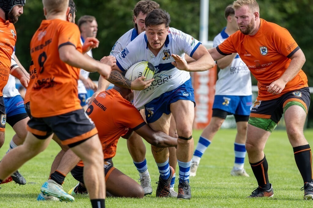 Rugby Bundesliga, Saison 2025/26, 2. Spieltag: RG Heidelberg gegen TSV Handschuhsheim | Rugby Bundesliga, Saison 2025/26, 2. Spieltag: RG Heidelberg gegen TSV Handschuhsheim - Realisiert mit Pictrs.com