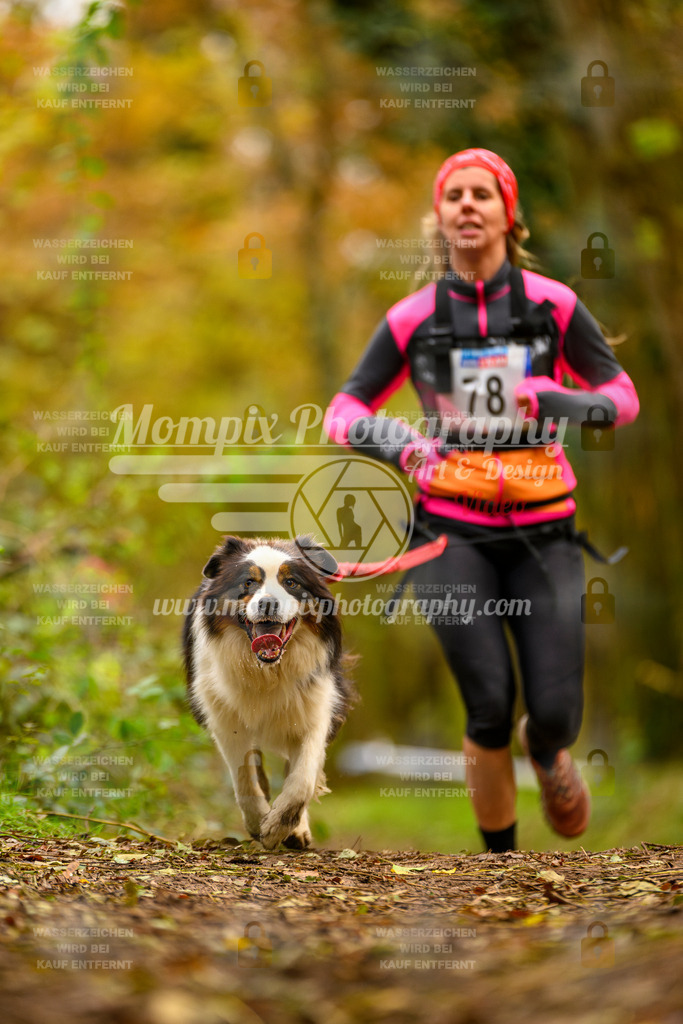 MompixPhotography_Bischwiller24_SA_Canicross-130 | PayLife