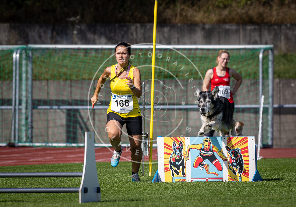 Pfotenfotografie_DV3A9819 | Hundefotografie, Tierfotograf, Pfotenfotografie, Fotoshooting Hund, Hunde Portrait, Hundesport, Hundeportraits, Heideshooting, Hunde, Sportfotograf, Hundefotograf, Turnierhundsport, THS,  - Realisiert mit Pictrs.com