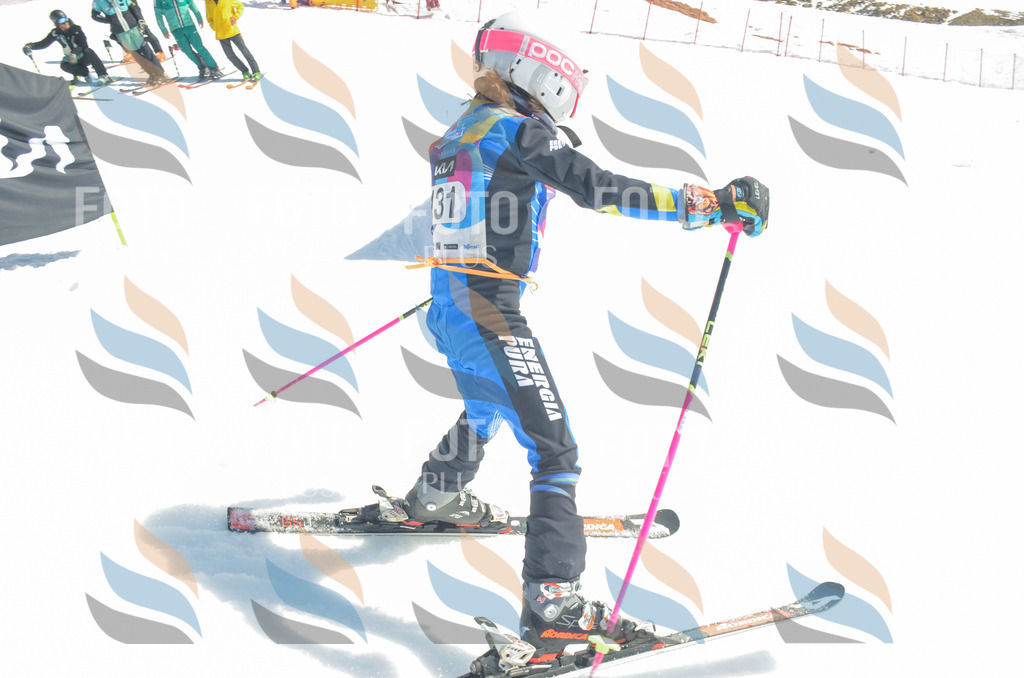 _ELE6125 | holidayphoto