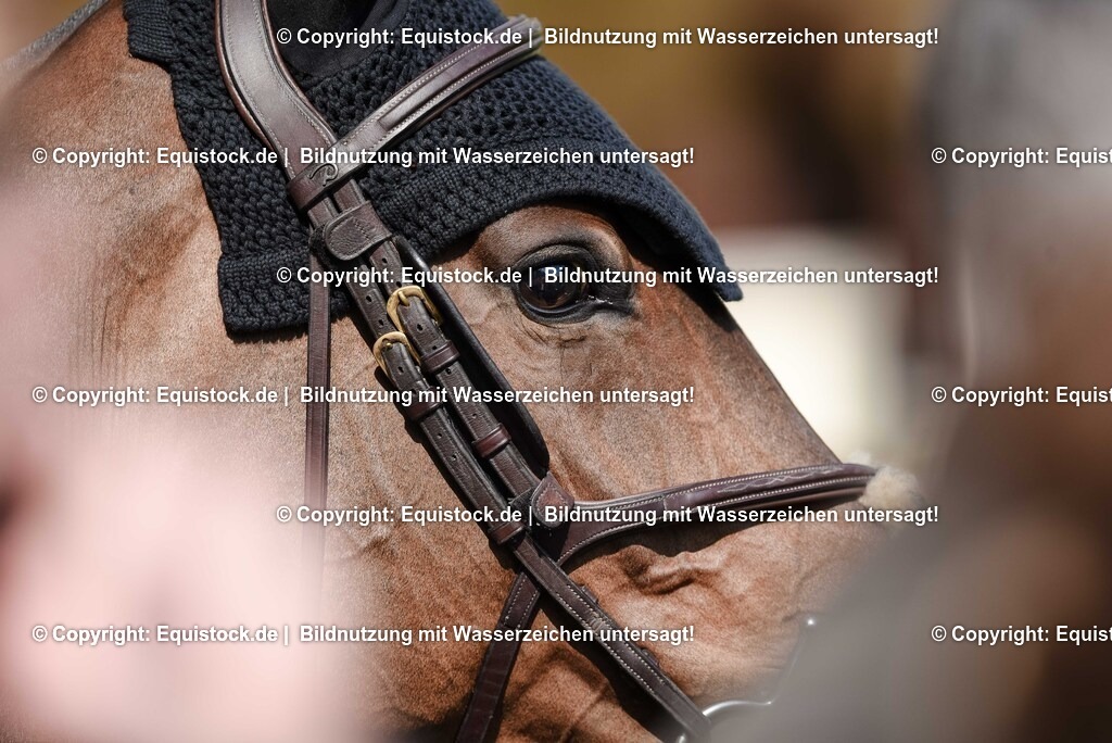 20250608_16_Quali-GP_Hess-Min-Präs_0256 | Foto: Thomas Hartig