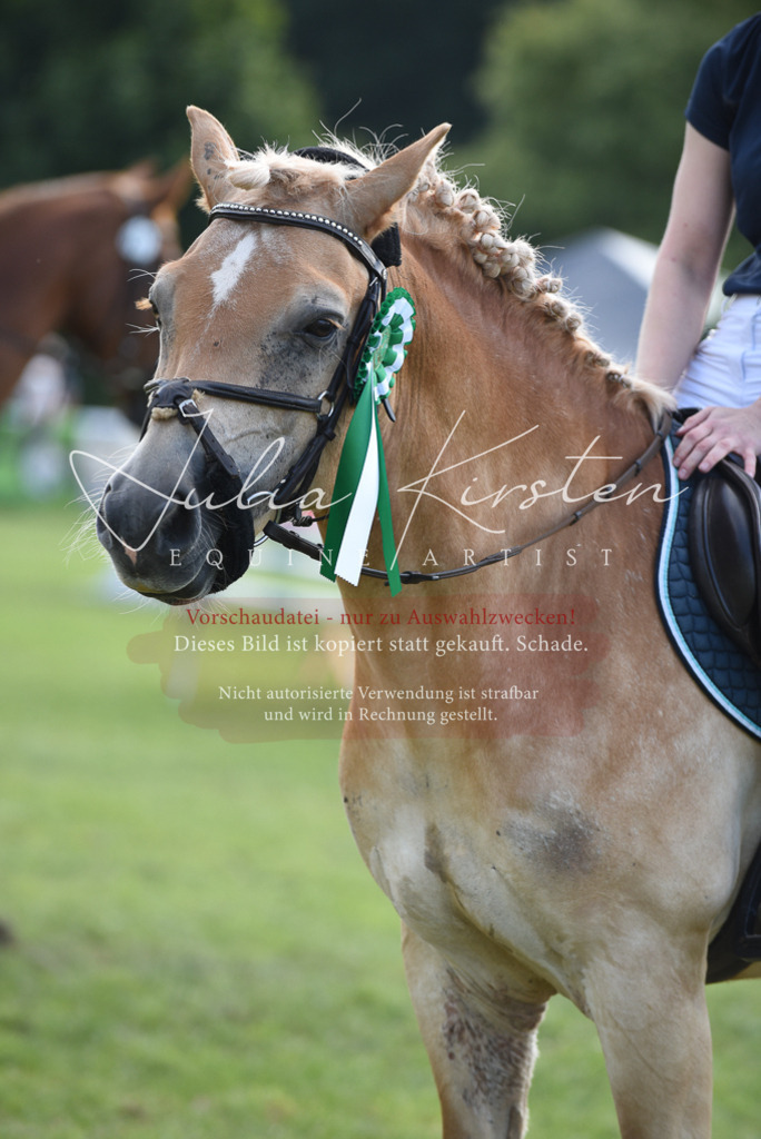DSC_8987 | Pferde- und Turnierfotografie in Westsachsen. Pferdeportraits, Auftragszeichnungen und intuitive Kunst.