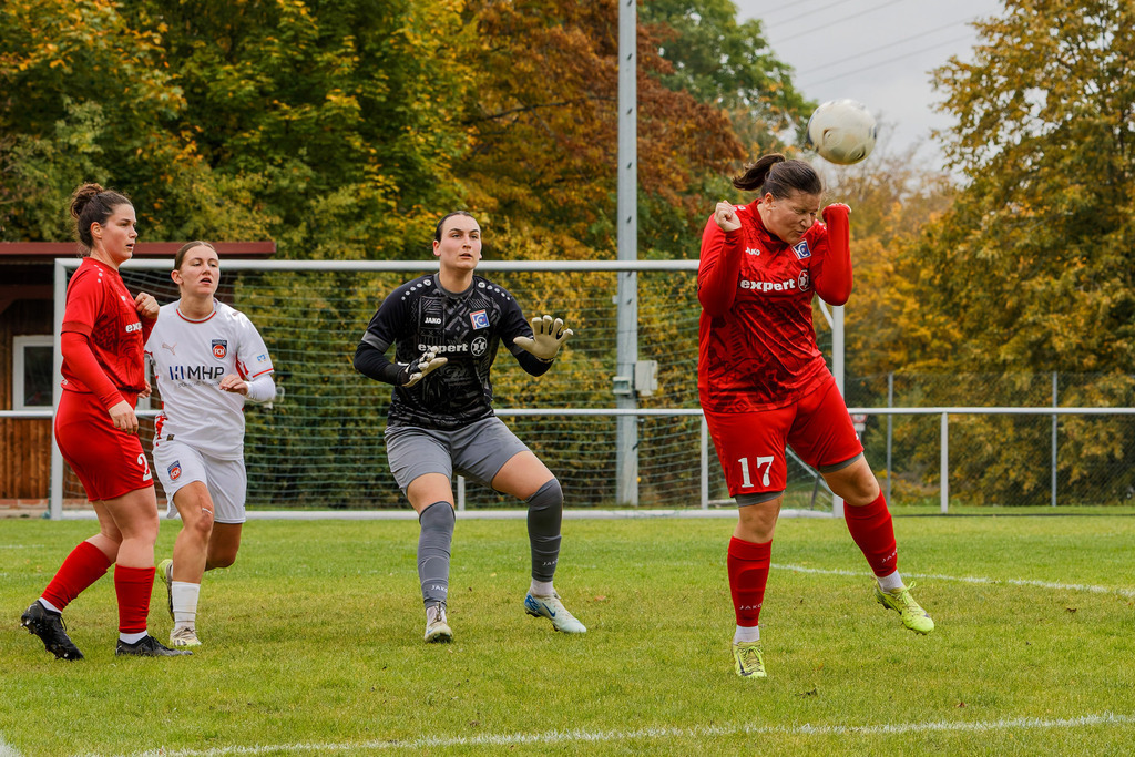 FCEFCH_251012_2188 | Fotopresso – Sportfotografie in Heidenheim & Umgebung. Professionelle Sportfotografie für unvergessliche Momente. Dynamische Action-Shots, emotionale Szenen & hochwertige Bilder. - Realisiert mit Pictrs.com