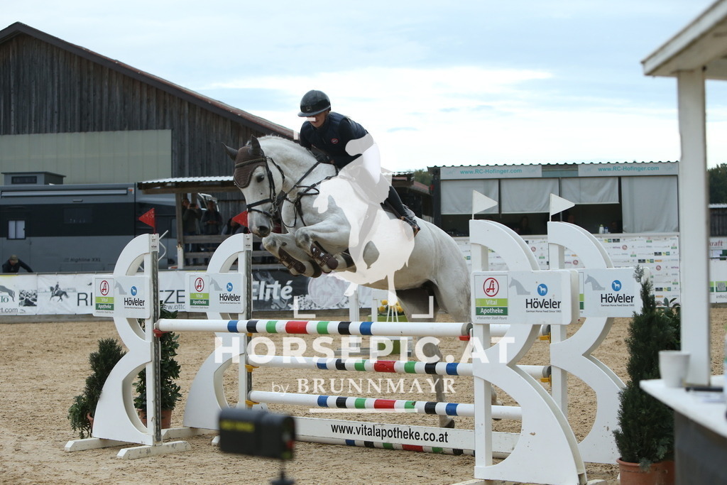 DL2Q7734 | Willkommen bei Brunnmayr - Design & Fotografie – Ihrem Spezialisten für Reitturniere und Pferdeveranstaltungen in Oberösterreich, Salzburg und Bayern! Seit über 17 Jahren sind wir leidenschaftlich dabei.