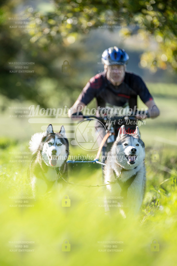 MompixPhotography_20TSB_E3_DS2-48 | PayLife