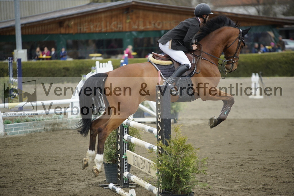_DSC7195 | equestrian-live-com