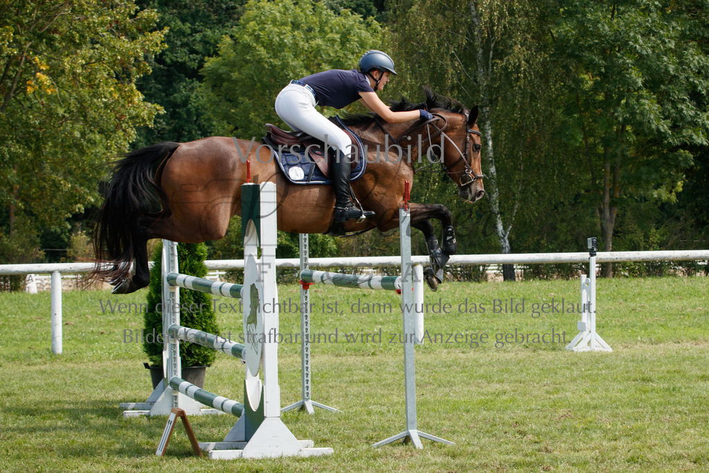 IMG_3486 | P. Berger Fotografie - Realisiert mit Pictrs.com