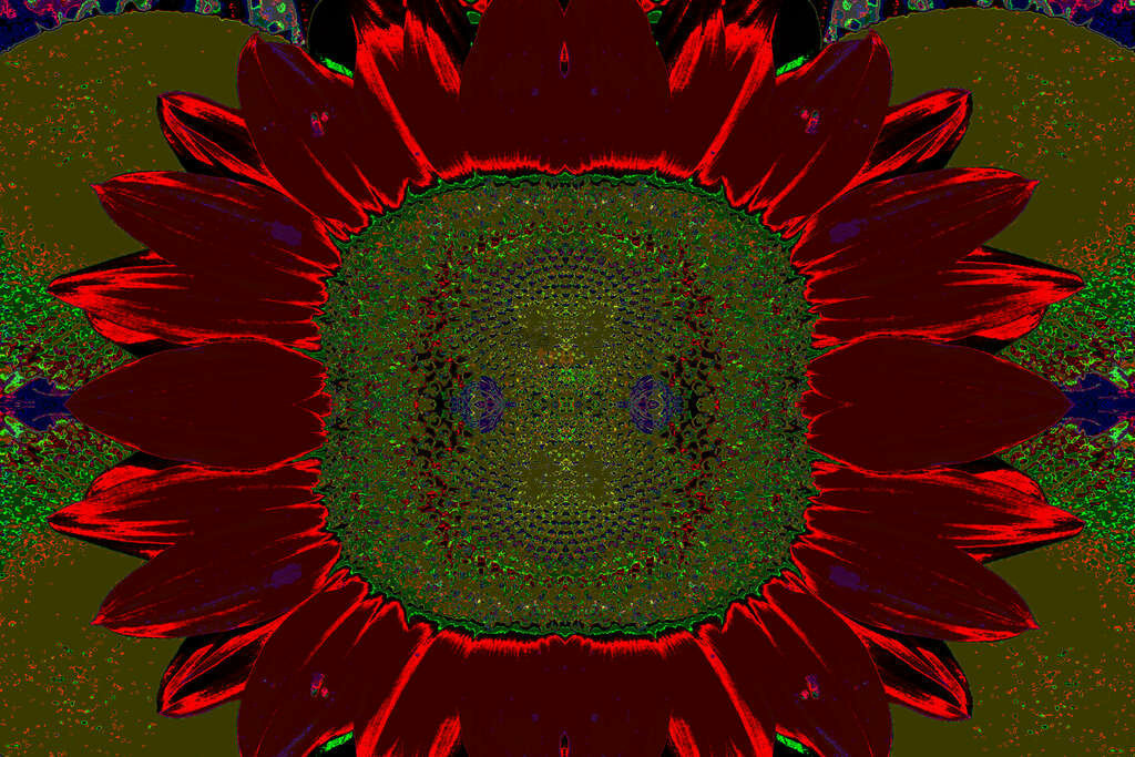 Sonne der Feuer Galaxie | Moderne Digital Art – Exklusive Kunstwerke für dein Zuhause
Entdecke einzigartige Digital Art und verleihe deinen Räumen eine moderne und stilvolle Atmosphäre. Unsere hochwertigen Kunstdrucke kombinieren innovative Technik mit künstlerischer Kreativität und bringen abstrakte, geometrische und futuristische Designs direkt an deine Wand.
✔ Hochauflösende Drucke in brillanten Farben
✔ Exklusive Motive von talentierten Digital Artists
✔ Verschiedene Formate für jeden Raum und Stil
✔ Perfekt als Wandkunst für Wohnzimmer, Büro oder Galerie
Lass dich von unserer modernen, abstrakten und minimalistischen Kunst inspirieren und finde dein neues Lieblingsmotiv! Jetzt bestellen und dein Zuhause mit hochwertiger Digital Art verschönern.
 - Realisiert mit Pictrs.com