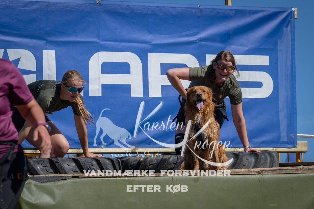 1153_ZZ92845 | kk-dogfotos