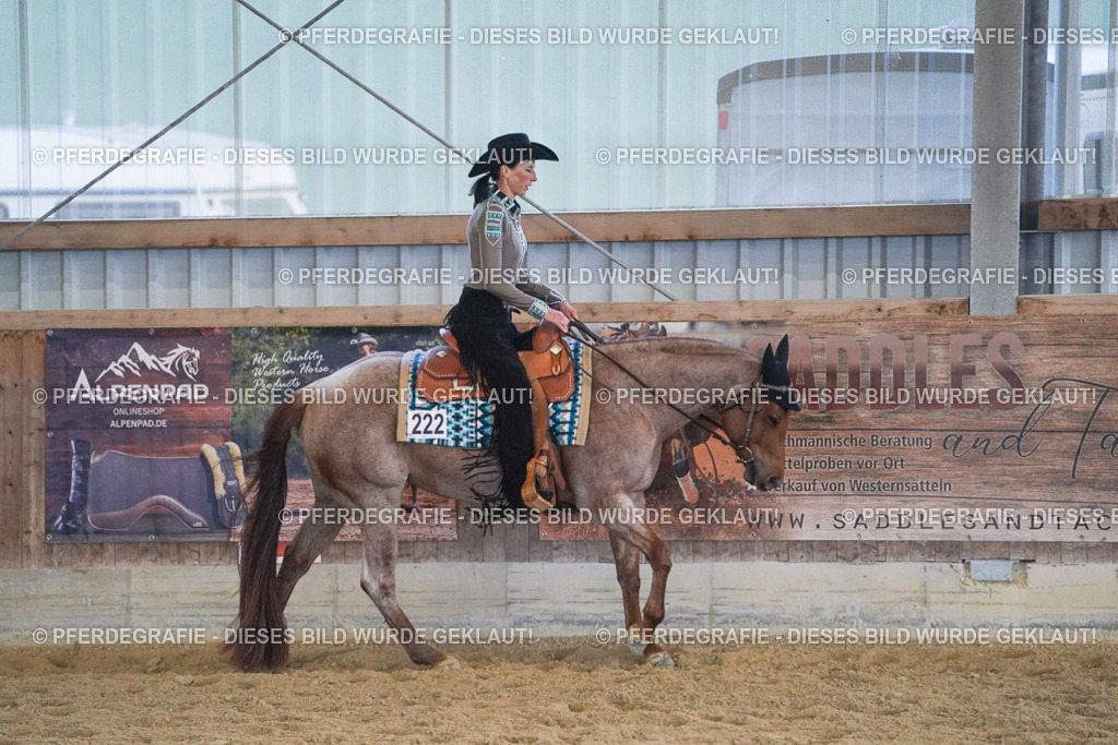 DSC09072 | Pferdegrafie