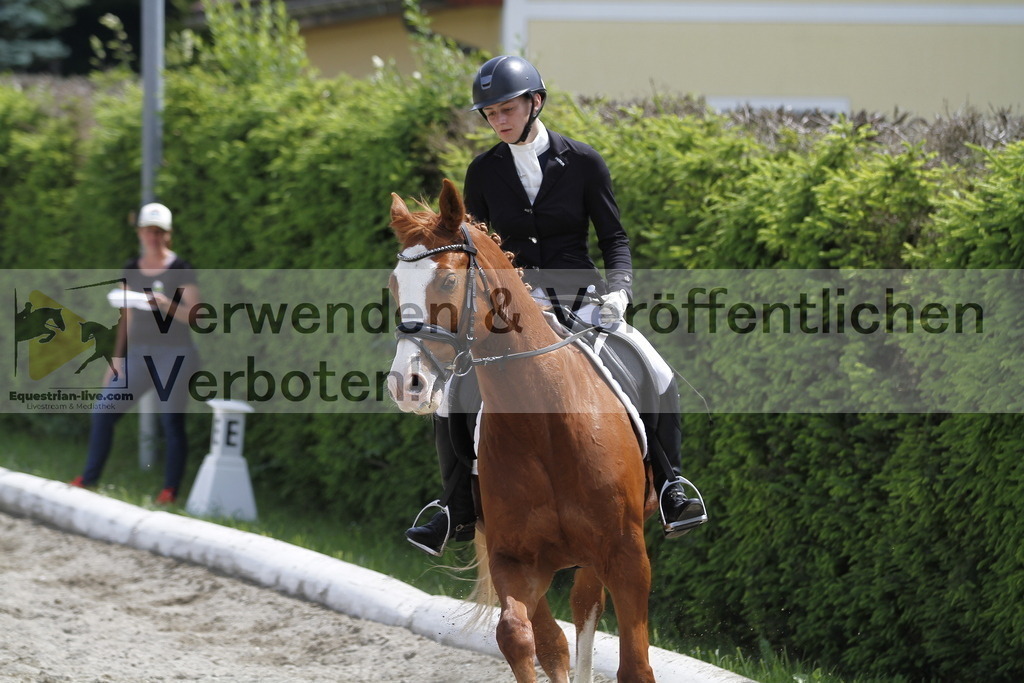 _MG_8694 | equestrian-live-com