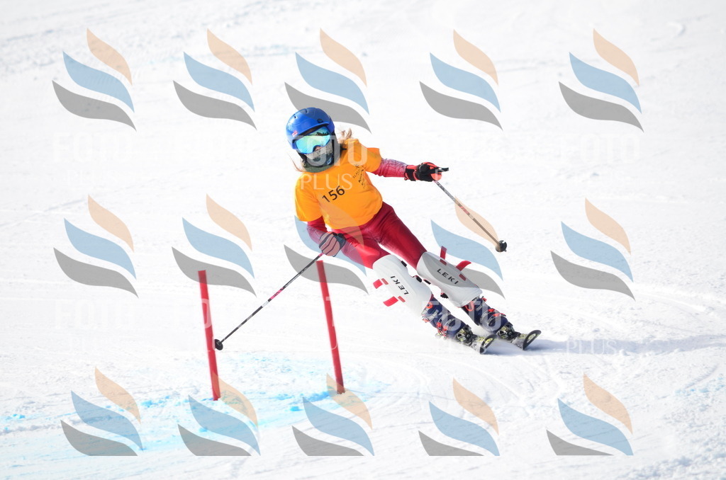 C7798 | holidayphoto