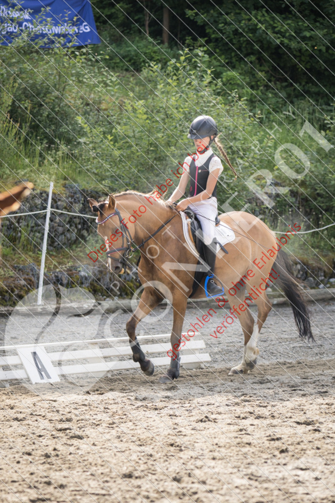 IMG_5891 | Sport-, Event- und Tierfotos in Profiqualität. Einfach auswählen, bestellen und herunterladen. Dein Moment – perfekt festgehalten.