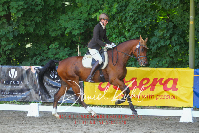 DKP42393 | Turniersportfotografie; Pferdefotografie; Dressurfotografie