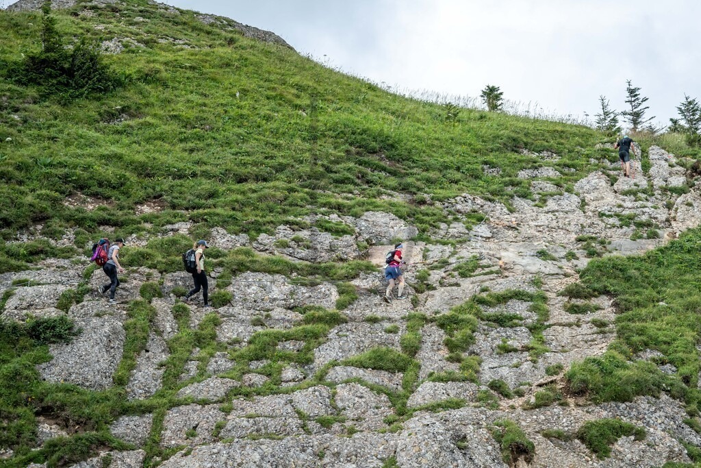 35. Gebirgsmarathon | 35. Gebirgsmarathon 2024 am 03.08.2024 in Immenstadt. Einer der anspruchsvollsten​und ältesten Bergläufe​Deutschlands im Naturpark Nagelfluhkette!(Foto: Dominik Berchtold/www.dberchtold.com)Instagram: @d_berchtold_foto 