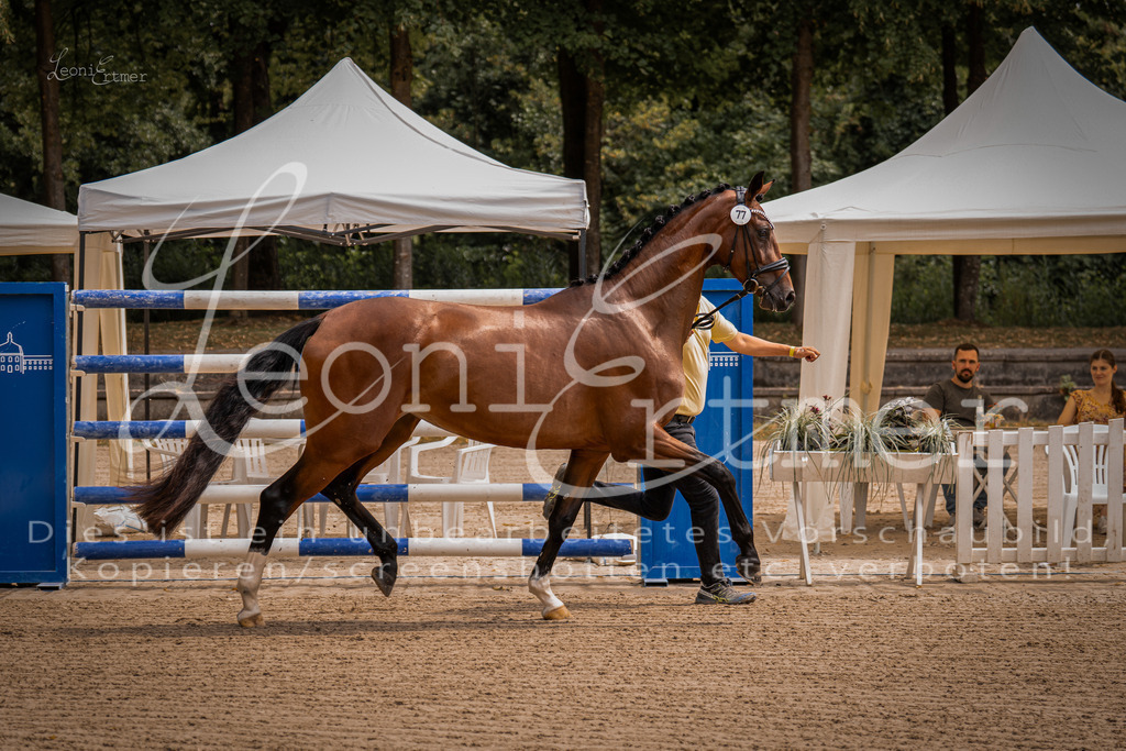 4.Fr00028 | Leoni Ertmer Photography - Realisiert mit Pictrs.com