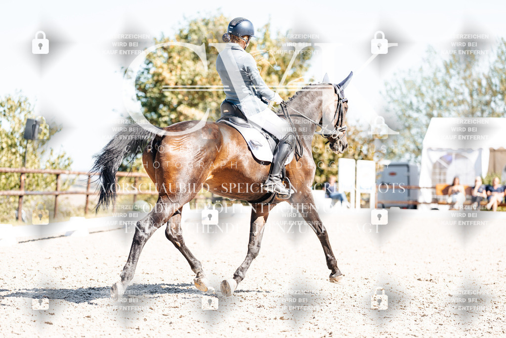 CK909796 | Turnierfotografie Pferdefotografie Trier Rheinland-Pfalz Pferdesport Reitsport Tierfotografie Sportfotografie Pferdevideo Pferdevideografie Equestrianvideography equestrianphotography  - Realisiert mit Pictrs.com