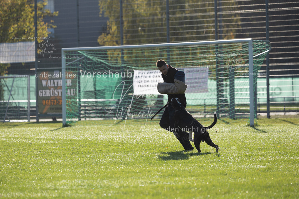 _16A6297 | Einzigartige Fotos von Hunden & Menschen –Actionfotos, Portraits, Vereinsaufnahmen & Paarshootings – authentisch, lebendig & mit Herz.