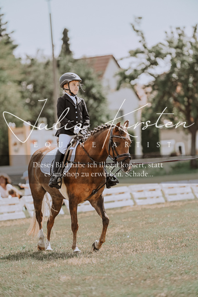 DSC_7624 | Pferde- und Turnierfotografie in Westsachsen. Pferdeportraits, Auftragszeichnungen und intuitive Kunst.