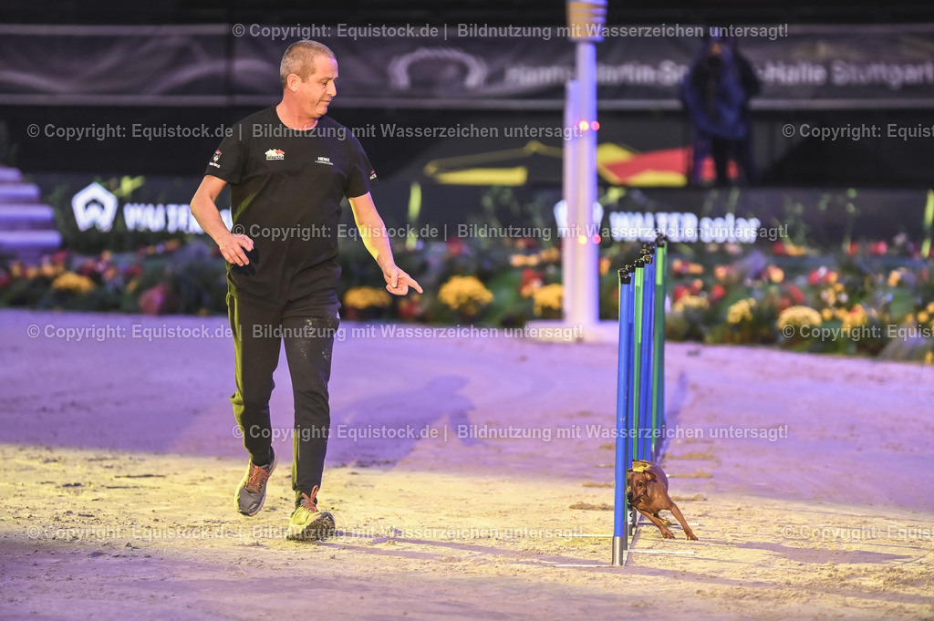 20231115_Dog-Agility_0047_TOMsPiC | Foto: Thomas Hartig