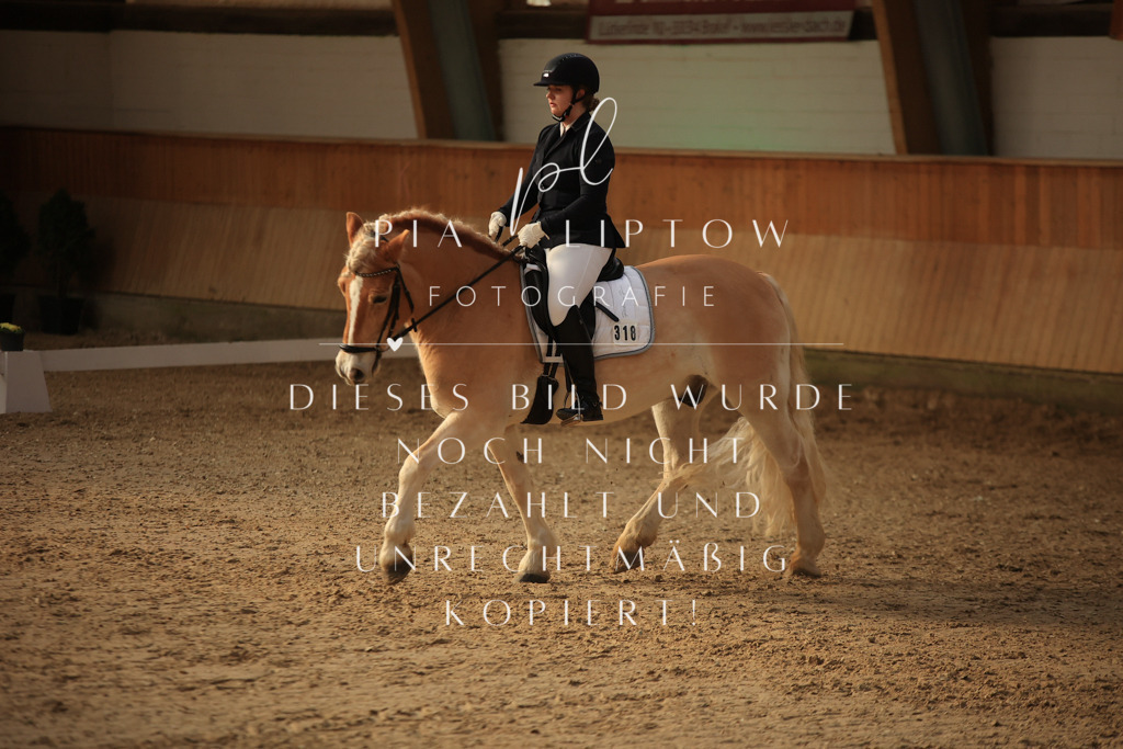 IMGT1950 | pl-fotografie