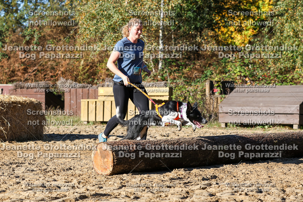 Dog Paparazzi - Strongdog 10-25-1865 | Dog Paparazzi Jeanette Grottendiek Fotografie & Videografie - Realisiert mit Pictrs.com