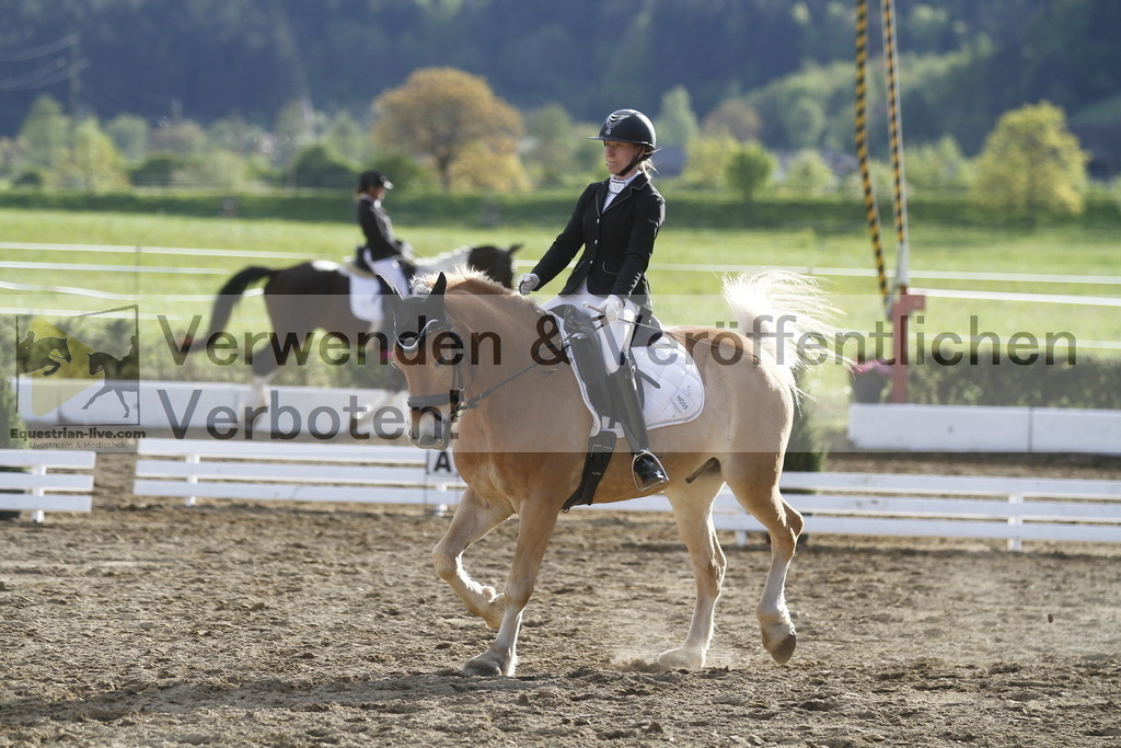 _MG_4304 | equestrian-live-com