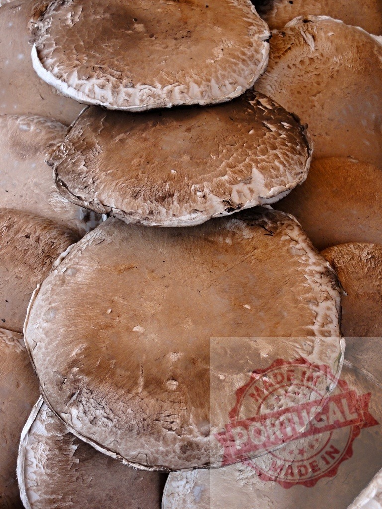 Portobello mushroom caps raw organic food ingredient | Portobello mushrooms caps forming a rustic brown texture background, fresh and raw - Realized with Pictrs.com