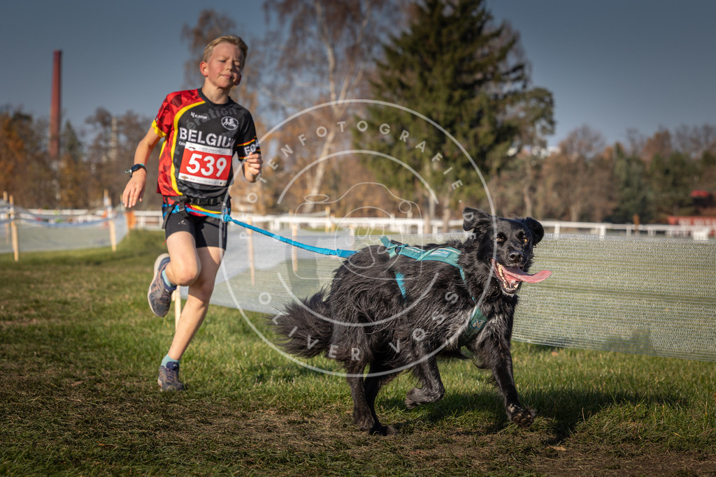 CaniXpix_0L8A8918 | Hundefotografie, Tierfotograf, Pfotenfotografie, Fotoshooting Hund, Hunde Portrait, Hundesport, Hundeportraits, Heideshooting, Hunde, Sportfotograf, Hundefotograf, Turnierhundsport, THS,  - Realisiert mit Pictrs.com