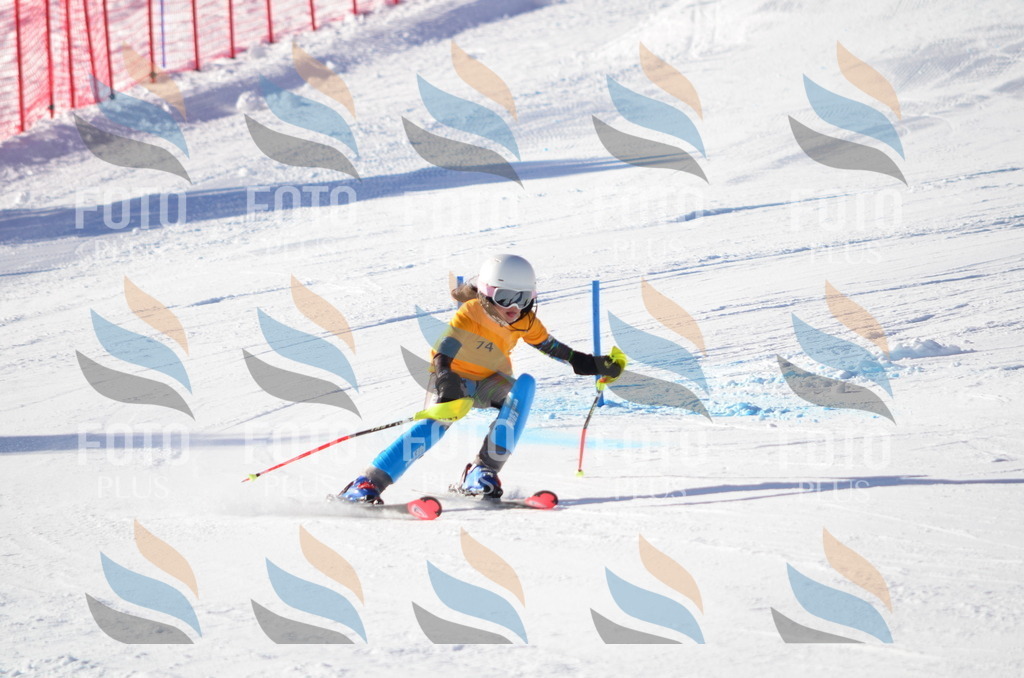 C5910 | holidayphoto