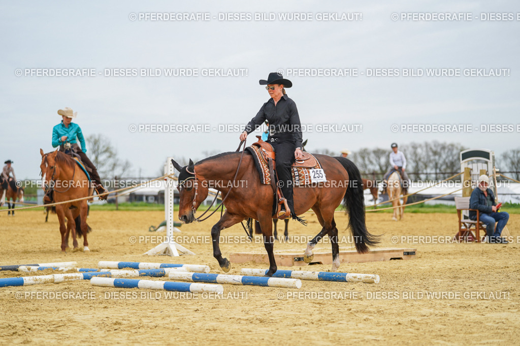 DSC03020 | Pferdegrafie